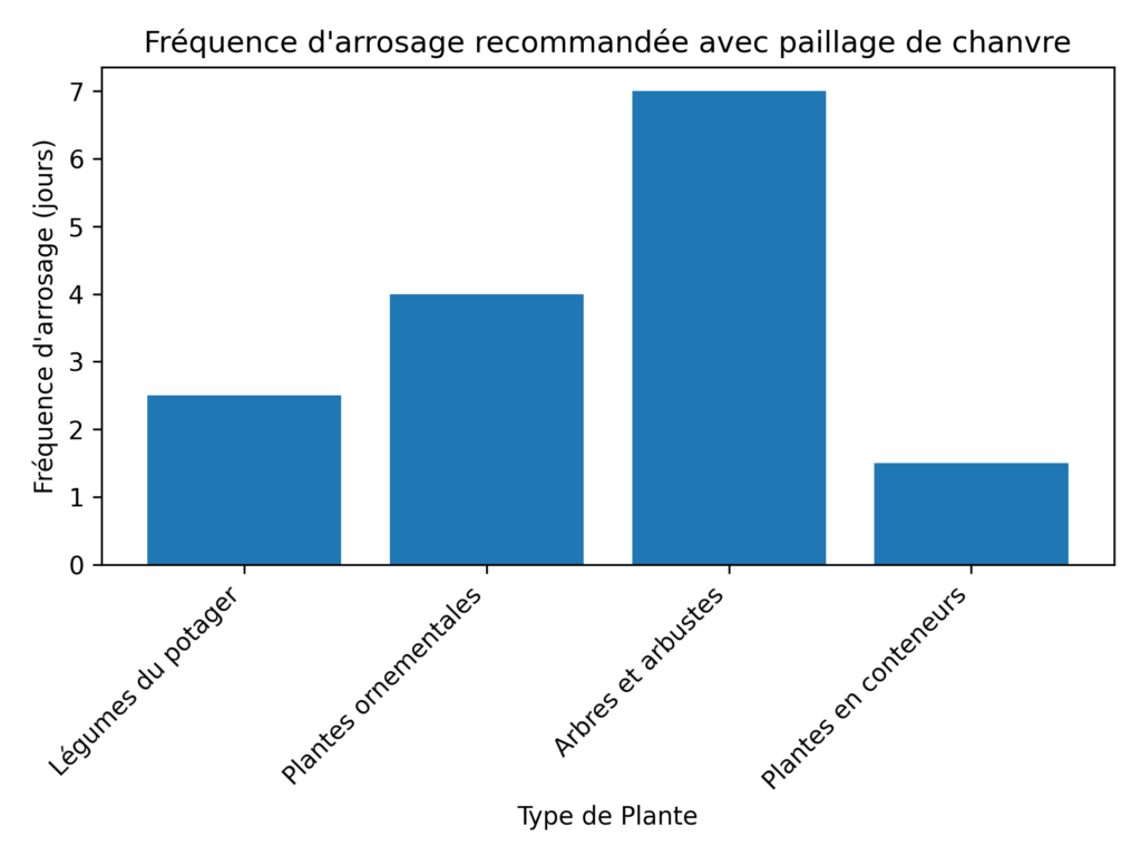 Arrosage et paillage de chanvre