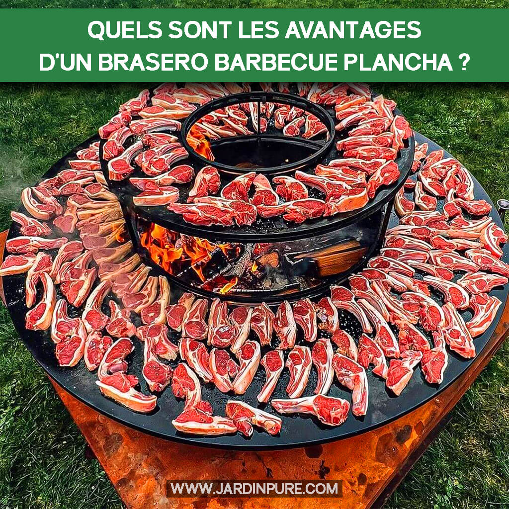 Quels sont les avantages d'un brasero barbecue plancha ?