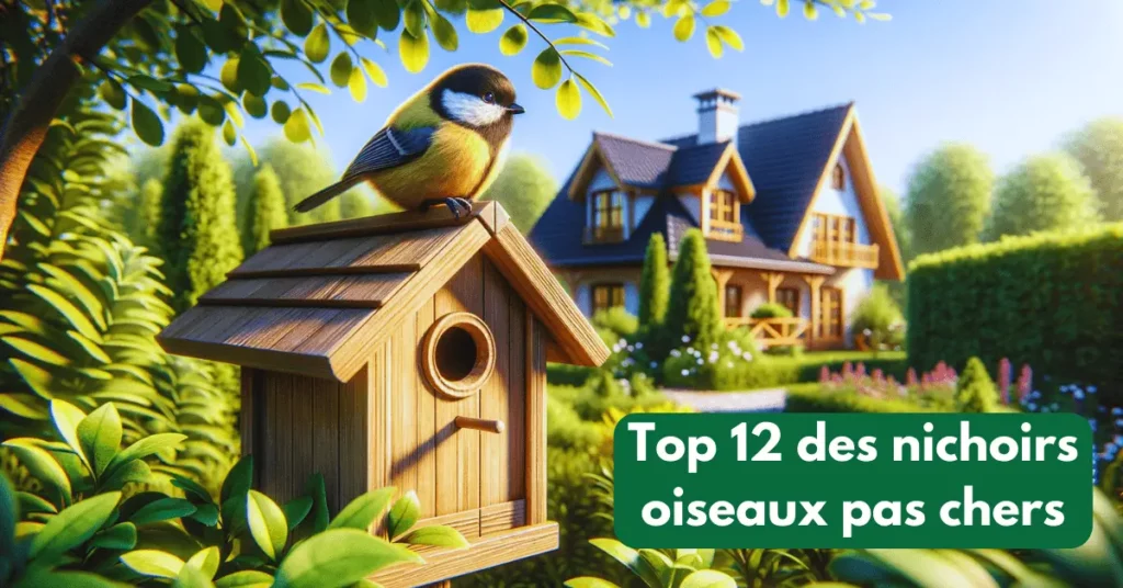 Top 12 des Nichoirs Oiseaux Pas Chers pour votre Jardin en 2024