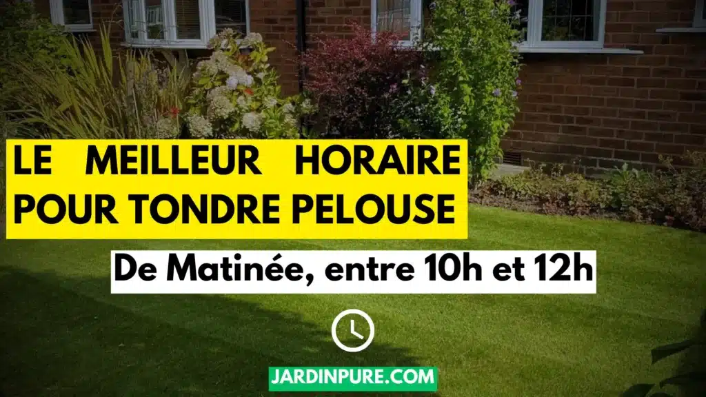 Le Meilleur Horaire pour Tondre Pelouse